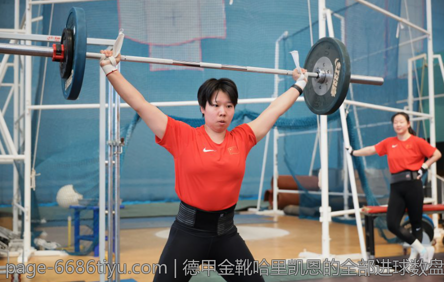 德甲金靴哈里凯恩的全部进球数盘点