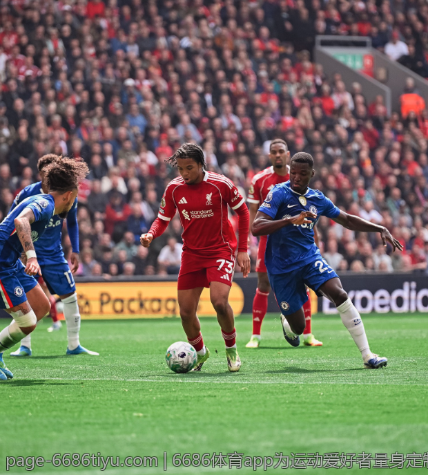 6686体育app为运动爱好者量身定制